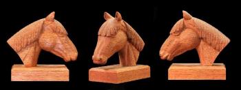 "Tête de cheval"